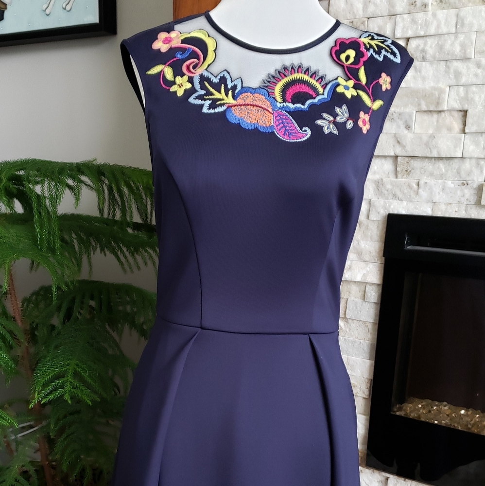 Ted Baker Skater Dress